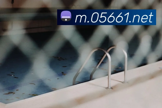 8868体育APP 封面图